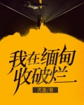 我在缅甸收破烂