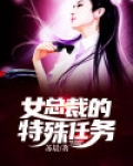 女总裁的特殊任务