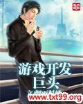 游戏开发巨头安卓汉化破解版