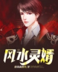 风水灵婿