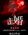 走婚风俗的简单介绍
