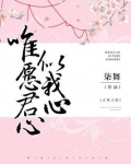 唯愿君心似我心,下一句