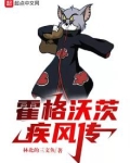 霍格沃茨疾风传