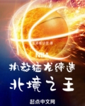 NBA:执教猛龙,缔造北境之王