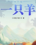 对不起一只羊
