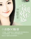 神秘娇妻:宝贝对不起