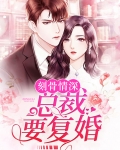 情深不晚:总裁求复婚!