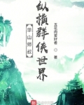 华山师叔,纵横群侠世界笔趣阁