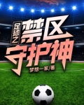 足球之禁区守护神免费