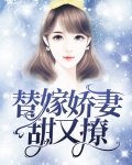 替嫁娇妻甜又撩小说糖水墨