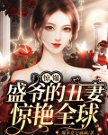 盛爷的小娇包又在兴风作浪了全文免费阅读
