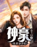 神豪：从单身开始