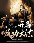 大明开局十万大军 小说
