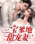三宝爹地甜宠妻全文阅读
