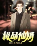 极品仙婿
