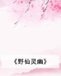 野仙儿小说