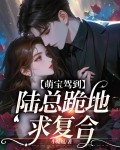 萌宝驾到，陆总跪地求复合