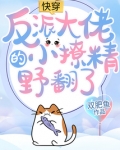 快穿：反派大佬的小撩精野翻了