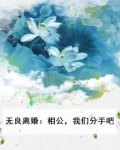 无良离婚:相公,我们分手吧