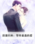 前妻归来：等待重逢的爱