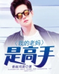 小说我的老妈是高手在哪看