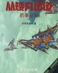 半岛：从矮丸出道的事业咖