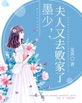 墨少夫人又闹离婚