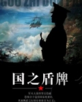 国之盾牌