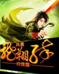 凤翥龙翔传