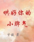 哄好你的小脾气TXT下载