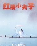 红楼小夫子