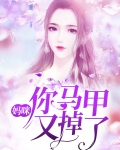 妈咪,你马甲又掉了