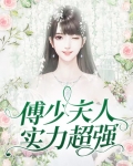 傅少夫人又帅又飒 小说