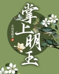 《掌上明月珠》