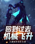 回到过去机械飞升TXT