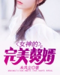 女神的完美赘婿