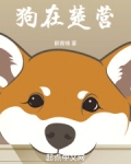 狗在楚营小说
