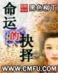 命运的抉择2.0