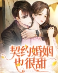契约婚姻也很甜