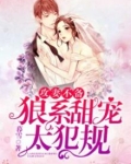 总裁甜妻太犯规