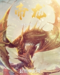 帝龙小说