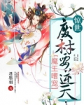 魔帝狂宠妻:惊世废材妃
