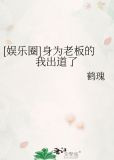 [娱乐圈]身为老板的我出道了