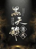 黑天鹅游戏