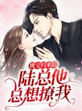 携宝归来后，陆总他总想撩我